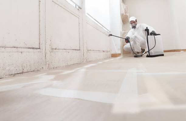 Trusted Mold Inspection service in Dublin, PA - WQB Mold Removal