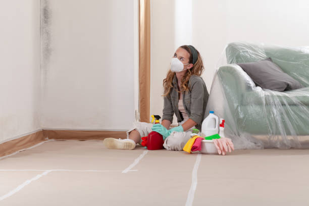 Reliable Mold Inspection contractor in Dublin, PA by WQB Mold Removal